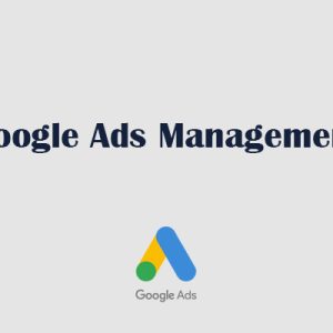 Google Ads Management Service