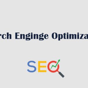 Professional SEO Service