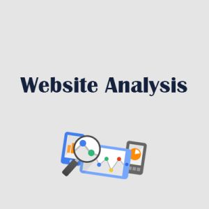 Advanced Web Analytics Service